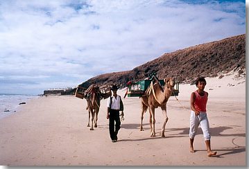 Kamelführer am Strand der Halbinsel Jandia