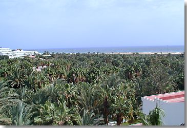 Blick über den zum Strand gelegenen Teil des Stella Canaris Geländes