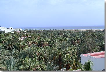 Blick über den zum Strand gelegenen Teil des Stella Canaris Geländes