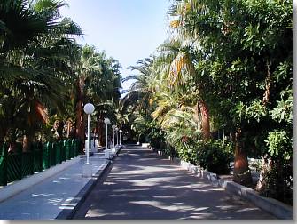 Palmenallee