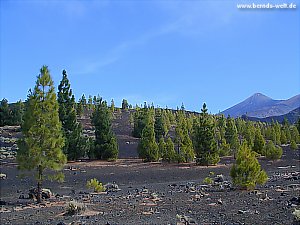 Las Canadas - Teneriffa