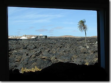 Blick aus dem Fenster