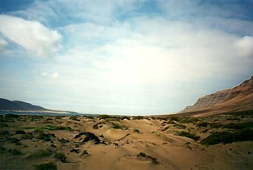 Sanddünen, kleine Sträucher und keine Menschenseele am Strand