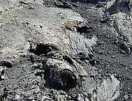 Lava