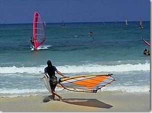 Windsurfer