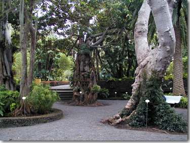 Botanischer Garten, Jardin Botanico