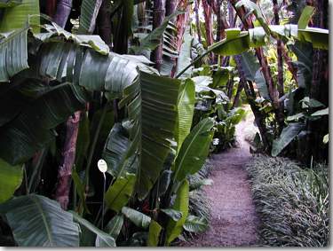 Botanischer Garten, Jardin Botanico