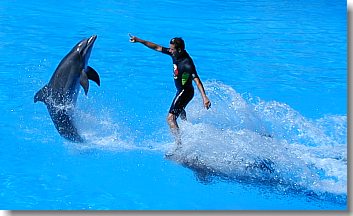 Zwei Delfine tragen einen der Akteure über das Wasser.