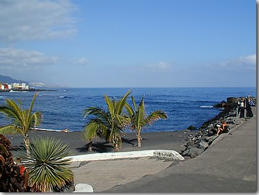 Playa Jardín am frühen Morgen