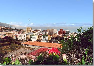 Puerto de la Cruz