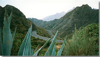 Im Anaga-Gebirge. Zufahrt über San Andrés.